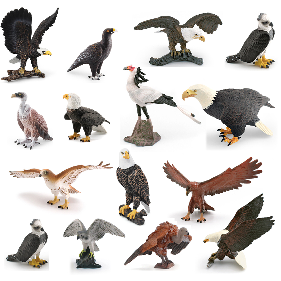 Kids No Education - Realistic Wildlife Animal Birds of Prey