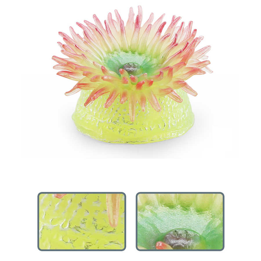 Realistic Coral Sea Anemones S – обзор и цена Kids No Education