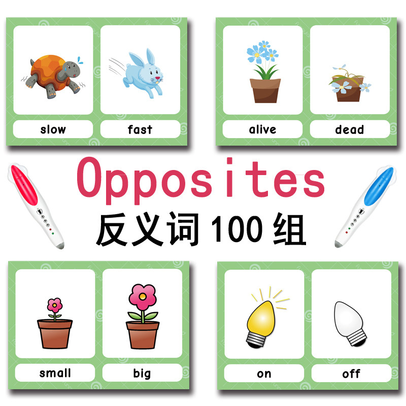 The 100 Groups Opposites Flash – обзор и цена Kids Educational Game